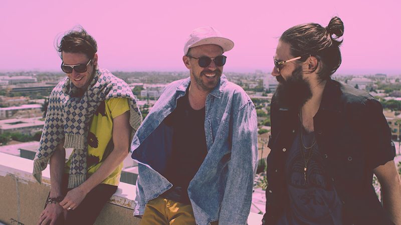 Wildcat! Wildcat! – ‘Hero’