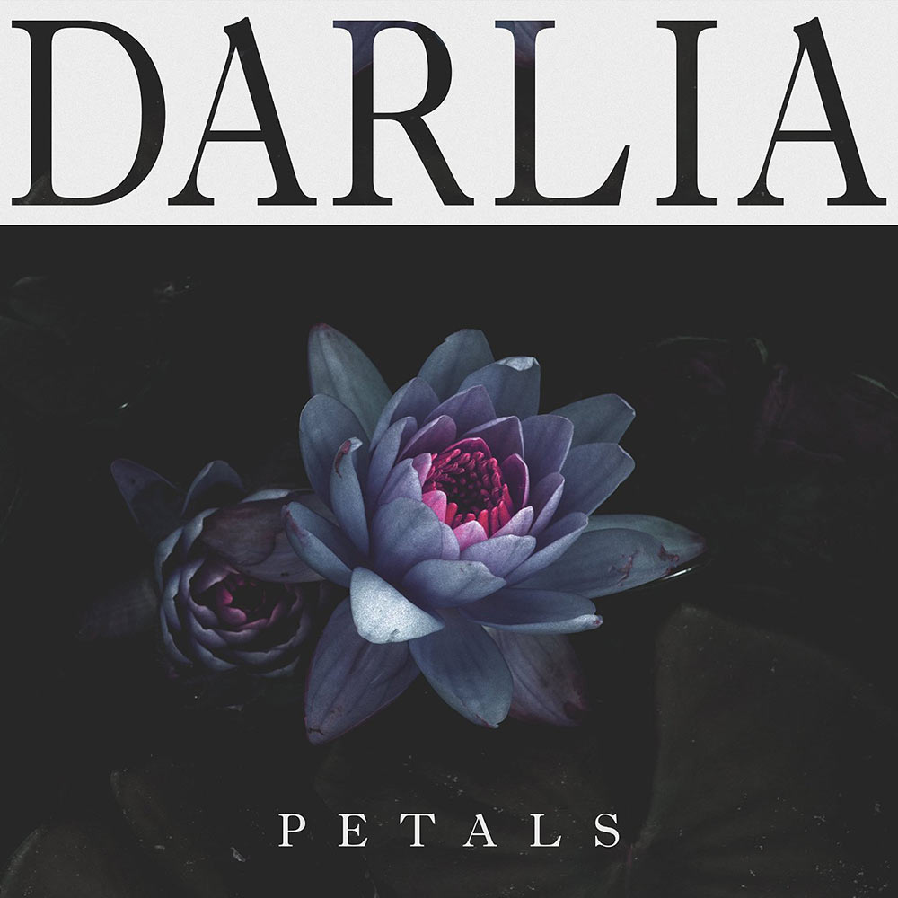 Darlia – “Petals”
