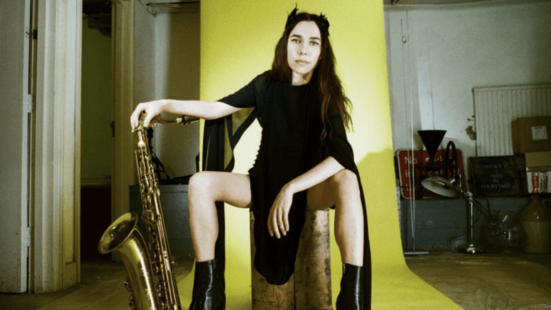 PJ Harvey Announces 2017 Australasian Tour