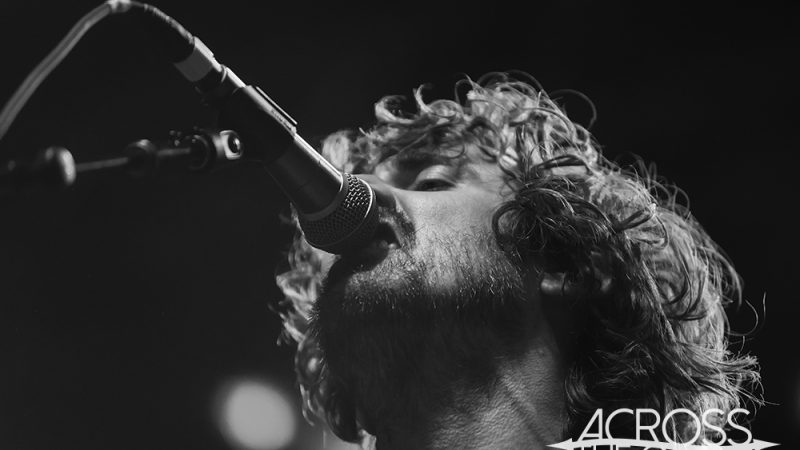 Tropical Fuck Storm Present Cellphone Honeymoon 2024