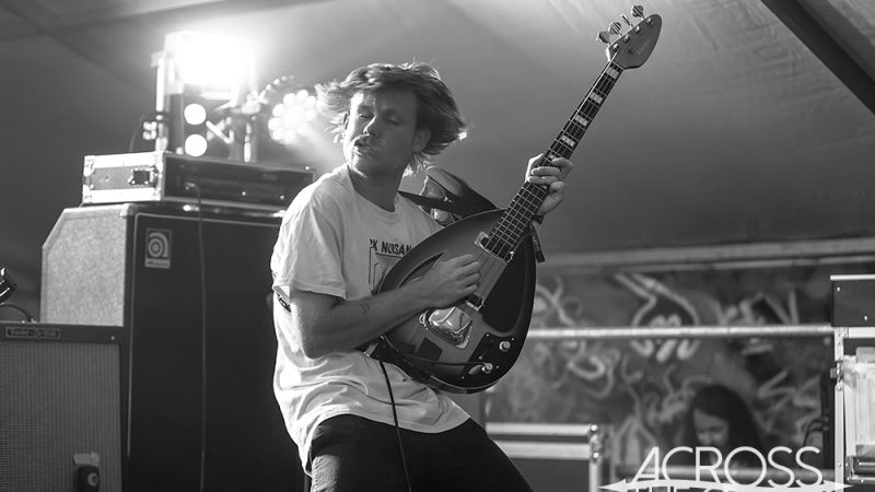 Crocodylus @ Yours & Owls, October ’19 – Photos