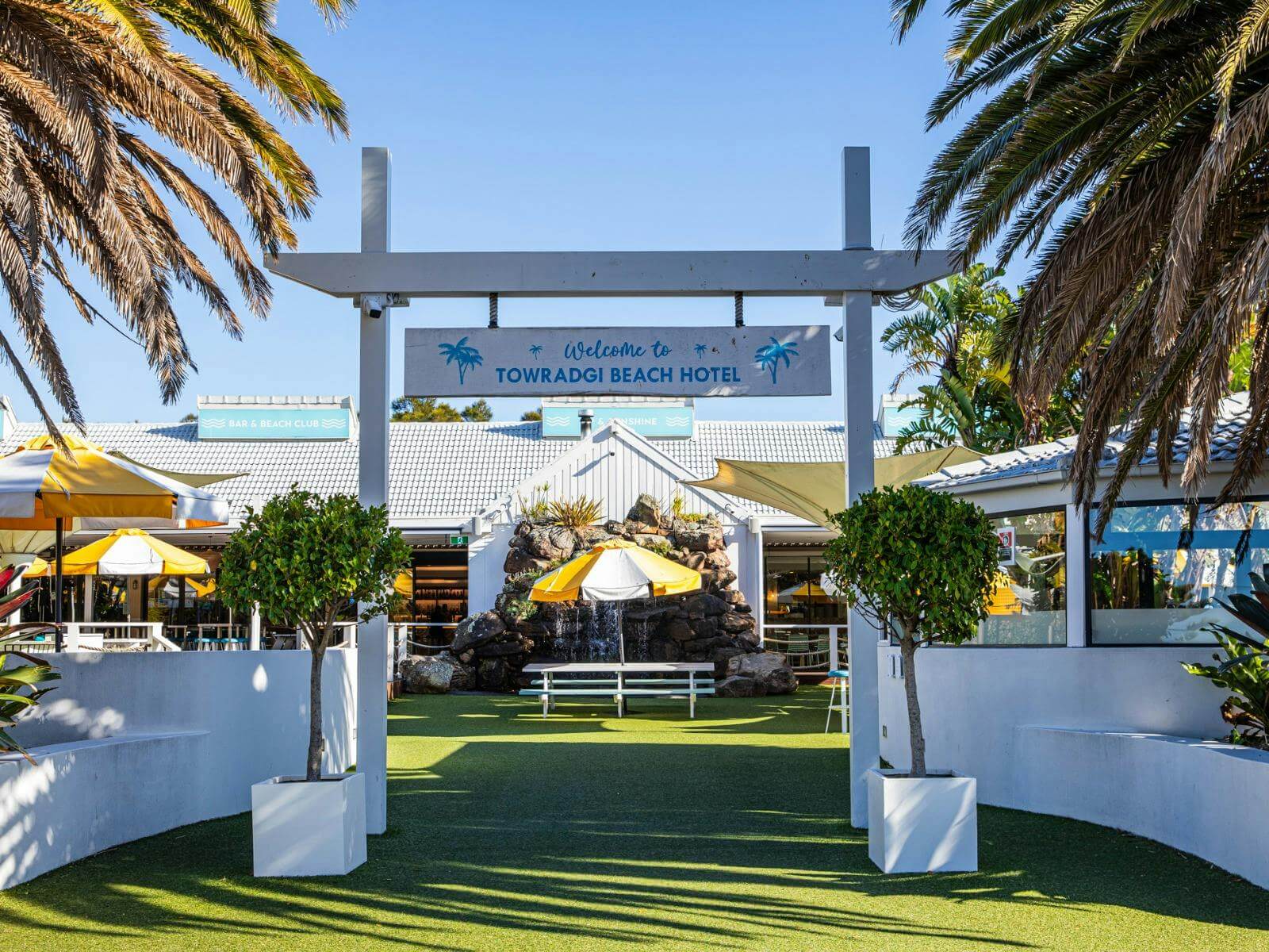 Waves & Yours and Owls Partner to Bring Live Music To The Illawarra