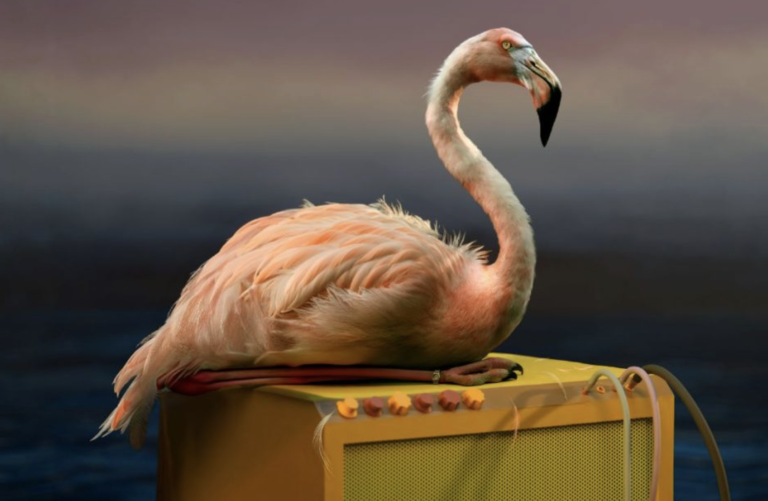 Kim Deal Shares ‘A Good Time Pushed’