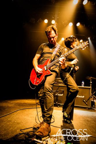 baby_animals_the_tivoli_01