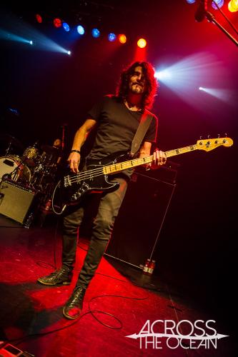 baby_animals_the_tivoli_04