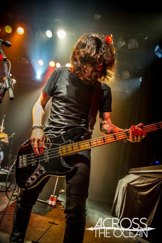 baby_animals_the_tivoli_12