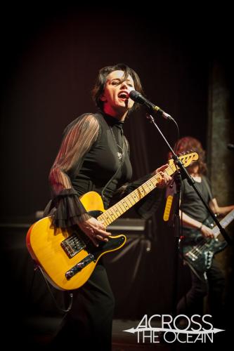 baby_animals_the_tivoli_13