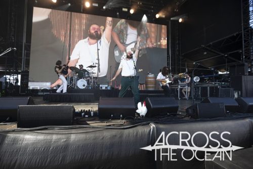 brad_cox_yours_and_owls_2025_09