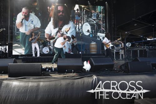 brad_cox_yours_and_owls_2025_10