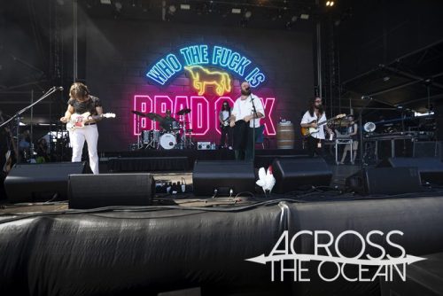 brad_cox_yours_and_owls_2025_11