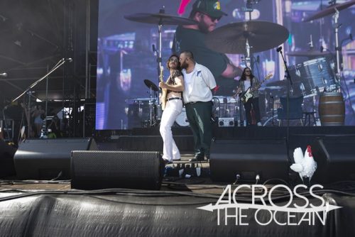 brad_cox_yours_and_owls_2025_12