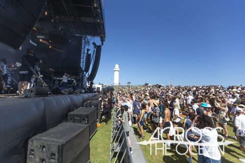 brad_cox_yours_and_owls_2025_13