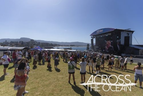 brad_cox_yours_and_owls_2025_14