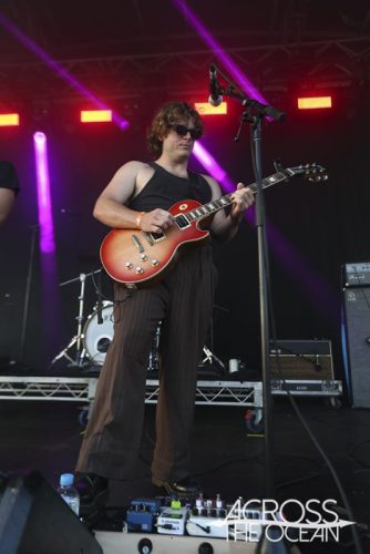 crocodylus_yours_and_owls_2025_01