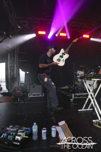 crocodylus_yours_and_owls_2025_04