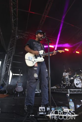 crocodylus_yours_and_owls_2025_05