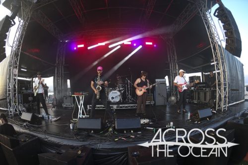 crocodylus_yours_and_owls_2025_07