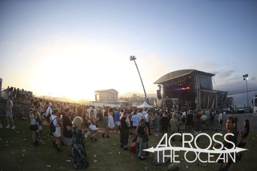 crocodylus_yours_and_owls_2025_08