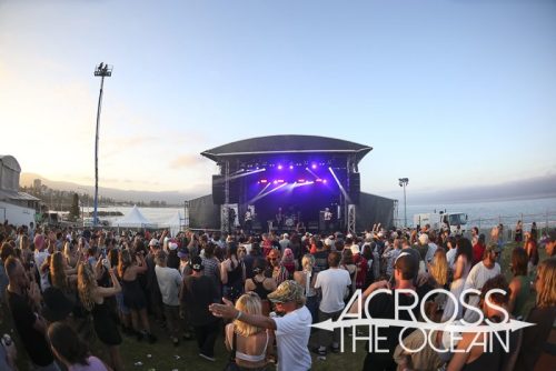 crocodylus_yours_and_owls_2025_09