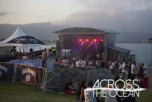 crocodylus_yours_and_owls_2025_10