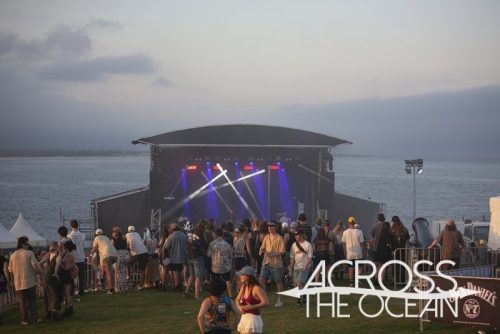 crocodylus_yours_and_owls_2025_11