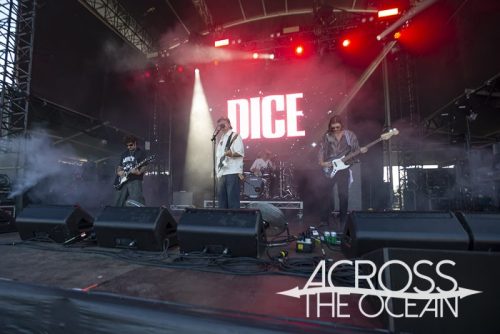 dice_yours_and_owls_2025_05