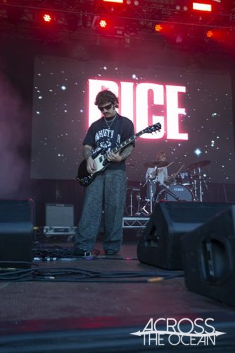 dice_yours_and_owls_2025_06