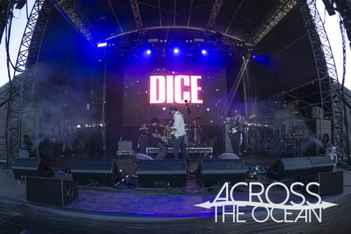 dice_yours_and_owls_2025_08