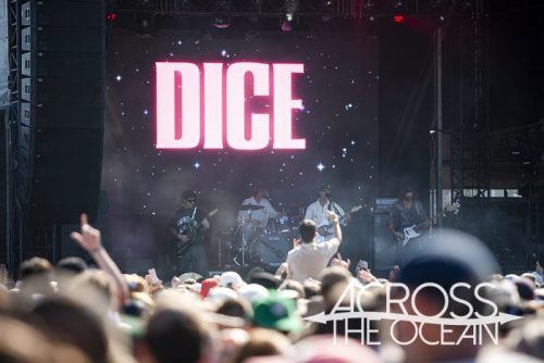 dice_yours_and_owls_2025_10