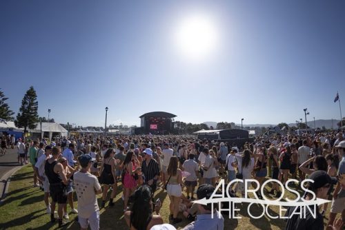 dice_yours_and_owls_2025_11