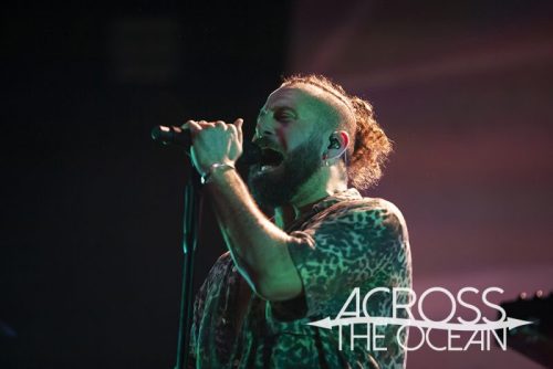 elderbrook_yours_and_owls_2025_01