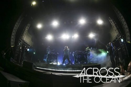 elderbrook_yours_and_owls_2025_04