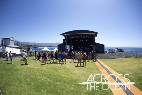 giraffehead_yours_and_owls_2025_13