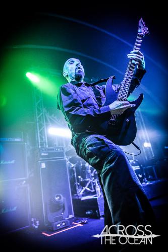 immolation_the_triffid_11