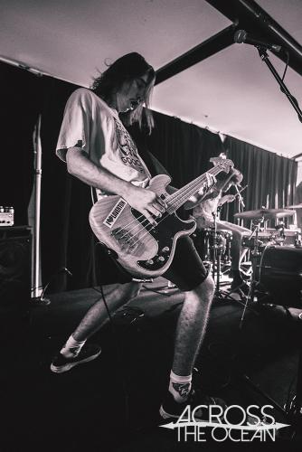 lunatics_on_pogosticks_the_farmer_and_the_owl_15_03