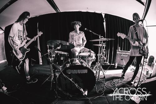 lunatics_on_pogosticks_the_farmer_and_the_owl_15_06