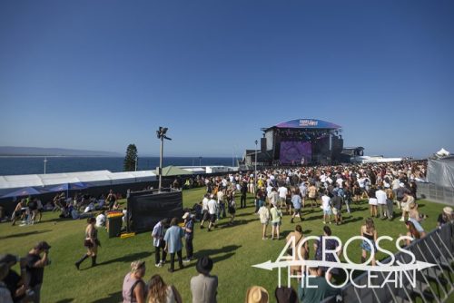 peach_prc_yours_and_owls_2025_09