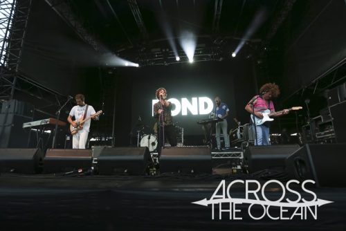 pond_yours_and_owls_2025_11