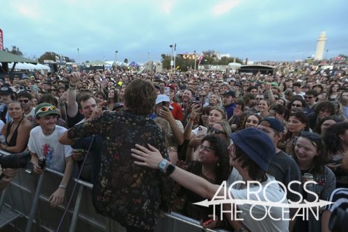 pond_yours_and_owls_2025_13