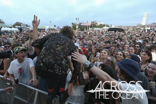 pond_yours_and_owls_2025_14