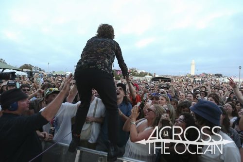 pond_yours_and_owls_2025_15