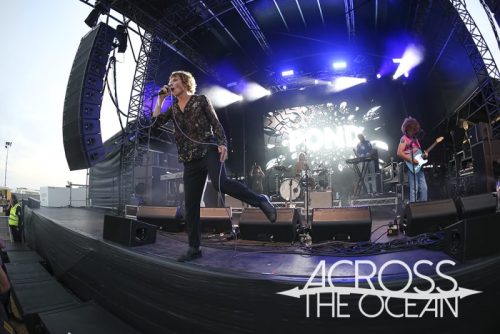 pond_yours_and_owls_2025_16