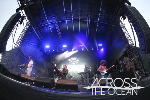 pond_yours_and_owls_2025_17