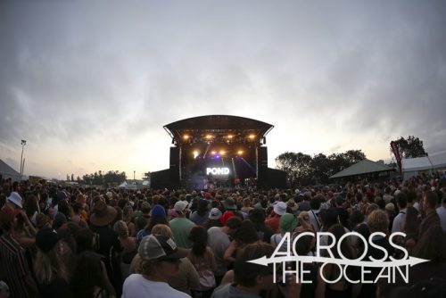 pond_yours_and_owls_2025_18