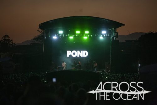 pond_yours_and_owls_2025_19