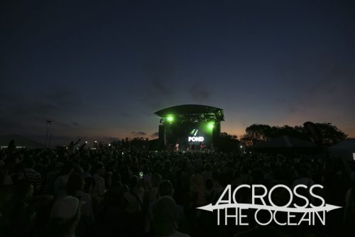 pond_yours_and_owls_2025_20