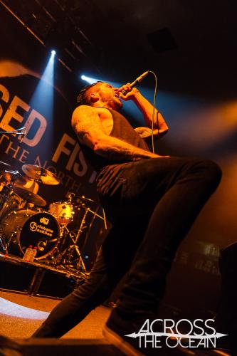 raised_fist_max_watts_13