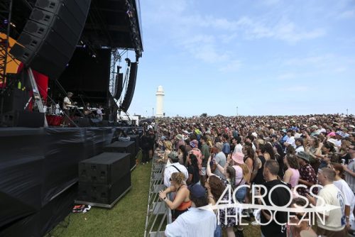 san_cisco_yours_and_owls_2025_11