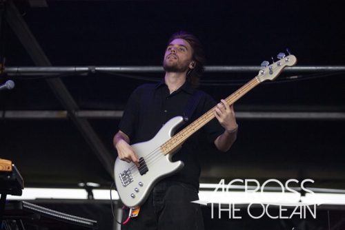 sycco_yours_and_owls_2025_02