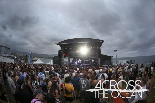 sycco_yours_and_owls_2025_08